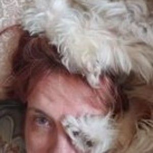 Meet your Posher, Merry